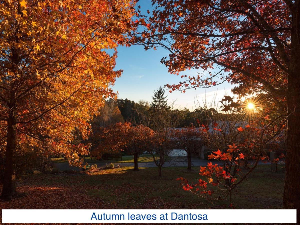 Dantosa Blue Mountains Retreat Villa Katoomba Exteriör bild