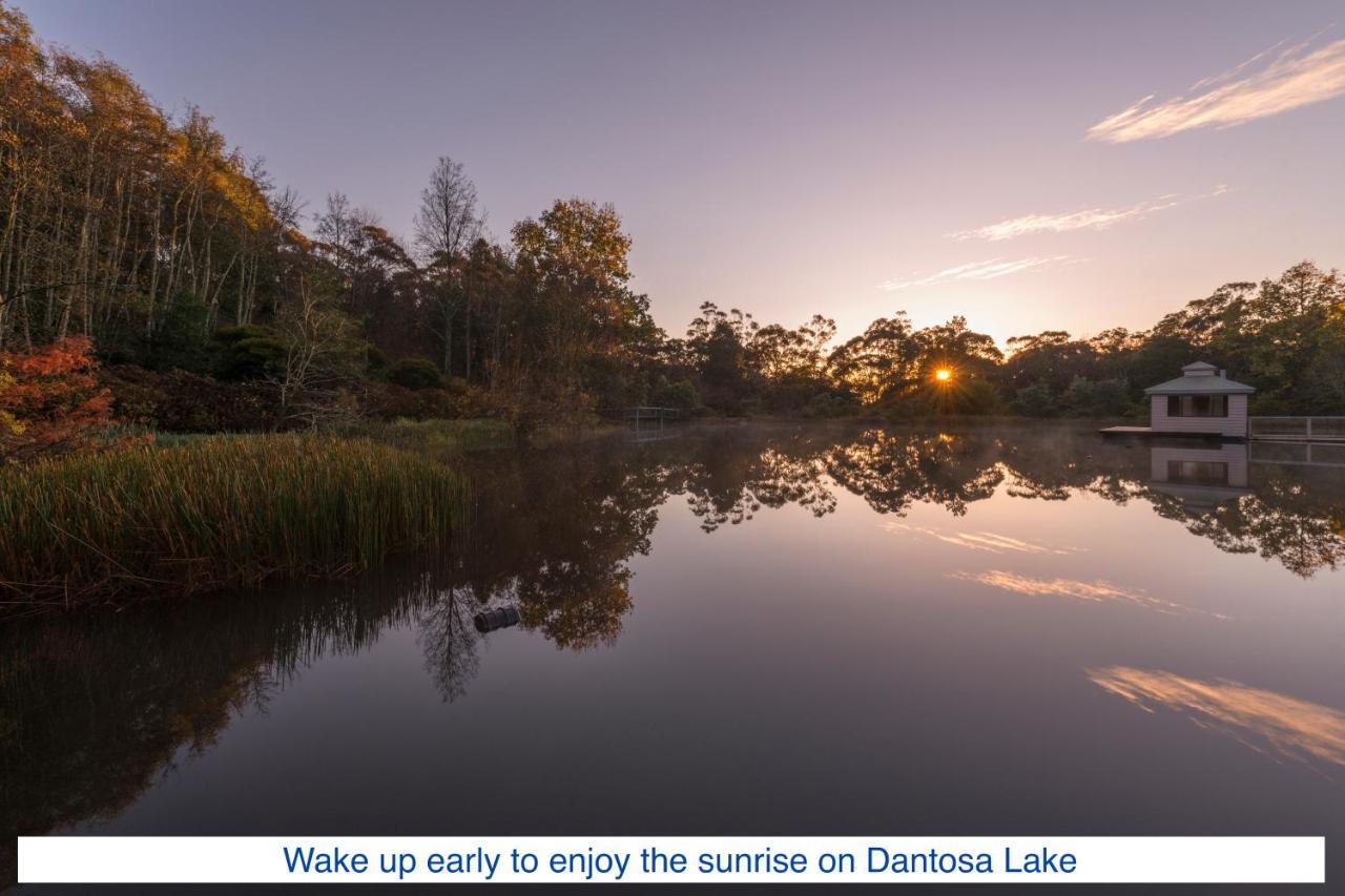 Dantosa Blue Mountains Retreat Villa Katoomba Exteriör bild