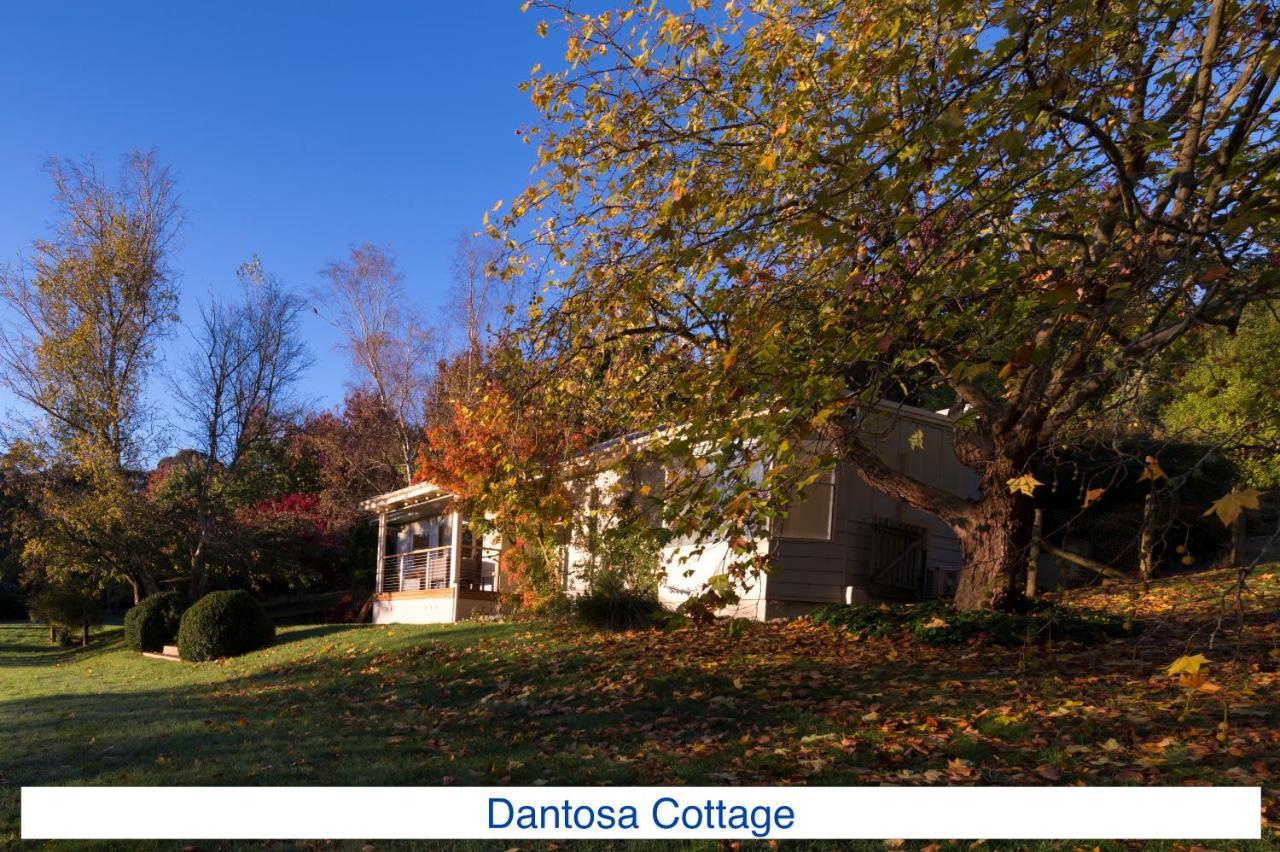 Dantosa Blue Mountains Retreat Villa Katoomba Exteriör bild